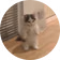 MICHIUSDT